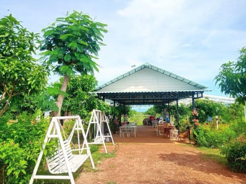 ដីលំហែរប្លង់រឹង  15x30m លក់បន្ទាន់