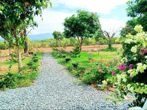 Land 15mx30m for sell at Kompongspe