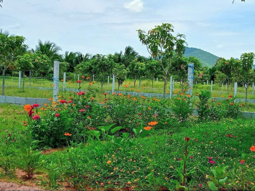 Land 15mx30m for sell at Kompongspe