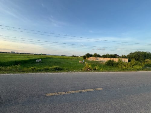 ដីលក់ក្នុងក្រុងដូនកែវ ដីកែង ជាបផ្លូវកៅស៊ូ 30ម៉ែត្រ និងផ្លូវលំ 8ម៉ែត្រ