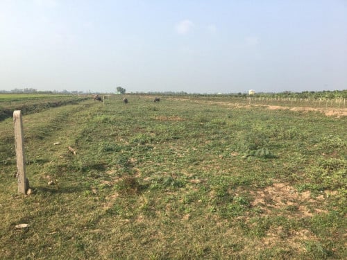 Land for Sale in Chrey Thom