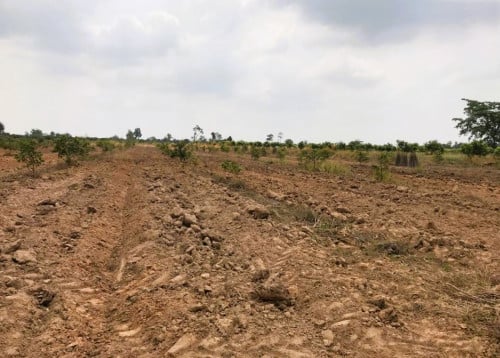 🏦Land Available for Urgent Sale at a Special Price (Negotiable).