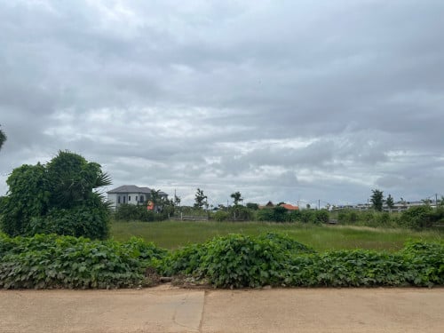 ដីលក់បន្ទាន់ (មានប្លង់រឹង)