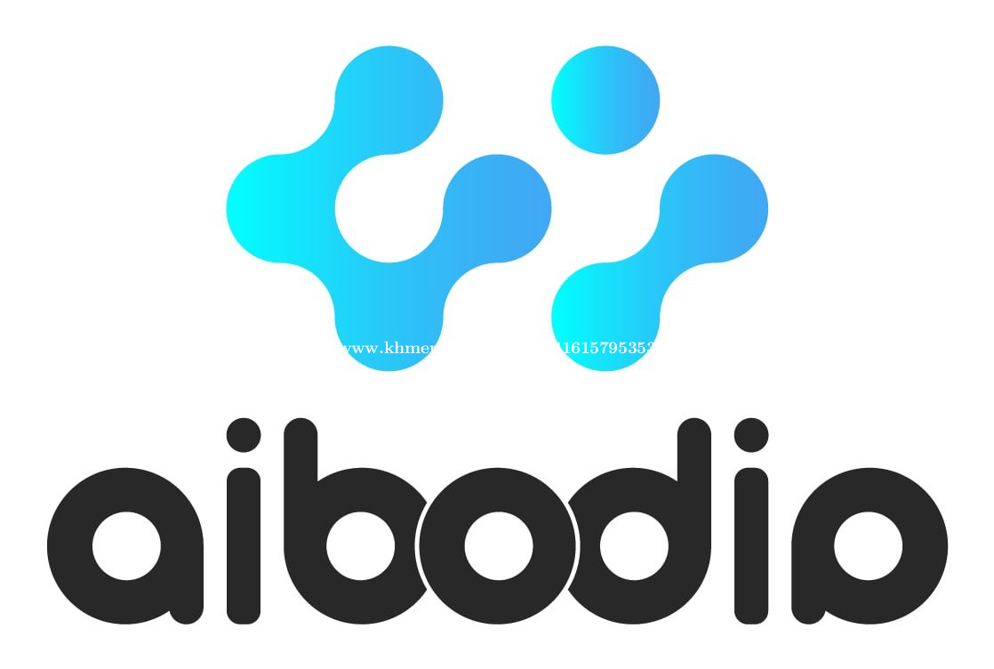 Software QA Tester salary 700.00 in Veal Vong, Prampir Meakkakra