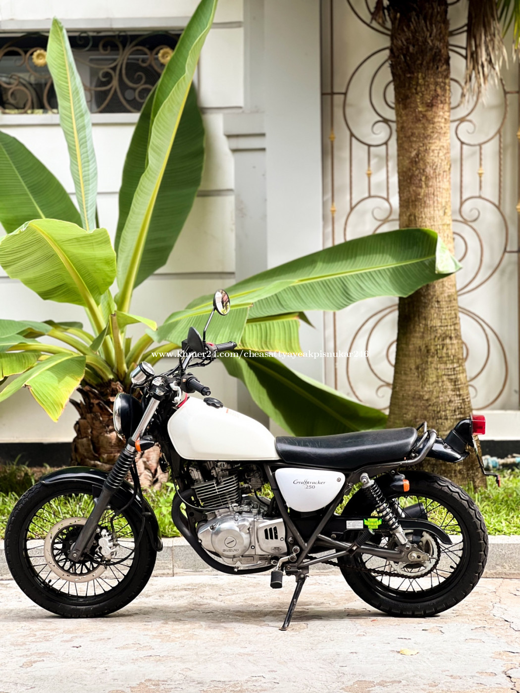 Suzuki big boy 250 cafe racer on sale