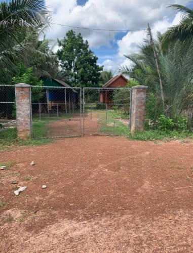 ដីផ្ទះលំហែរចំការល្មើដូងស្វាយនិងដំណាំជាច្រើនផ្សេងទៀត