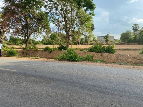 ដីភូមិ ផ្លូវហាយវេបាត់ដំបង 6ពាន់ការ៉េ ហ្វ្រីកាត់ប្លង់រឹង