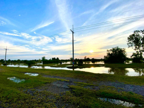 ដីលក់បន្ទានតម្លៃទាបជាងទីផ្សារខ្លាំង