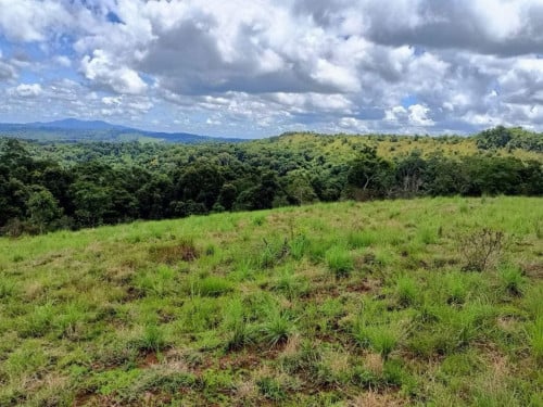 ដីលក់ មណ្ឌលគីរី