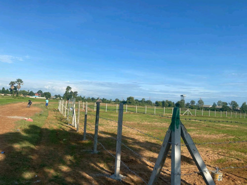 ដីលក់បន្ទាន់ 22A =35000 $ ប្លឹងរឹង