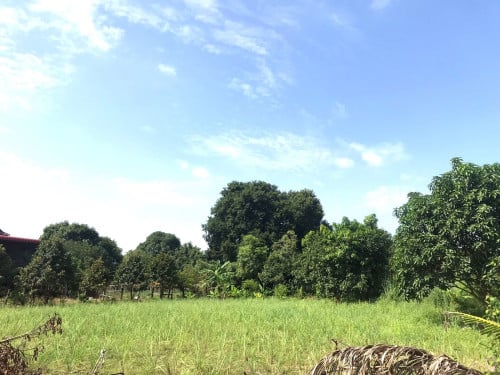 🏠Land Available for Urgent Sale at a Special Price (Negotiable).