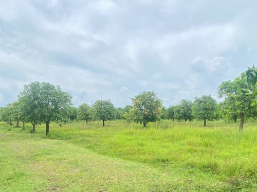 🏦Land for Urgent sale (Negotiable), ABA Loan Available