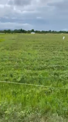 ដីលក់បន្ទាន់នៅស្រុកកំពង់ត្រាច ខេត្តកំពត [ម្ចាស់ដីផ្ទាល់ ប្លង់រឹង]