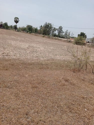 ដីម្ចាស់ផ្ទាស់លក់នៅខេត្តព្រៃវែង