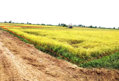 🏦Land for Urgent Sale (Negotiable), ABA Loan Available