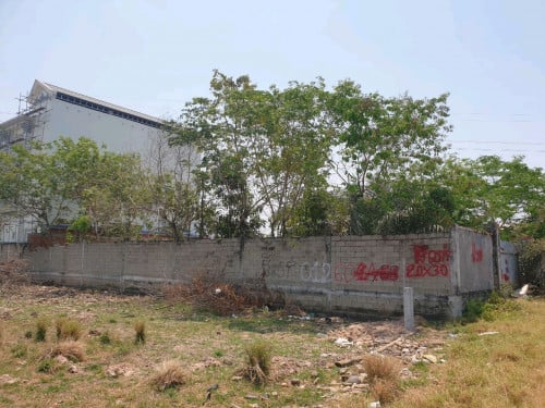 ដីលក់20*30ក្រាំងធ្នុង ក្រោយសង្គមកិច្ច