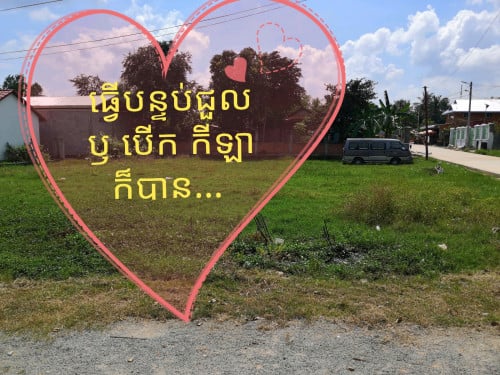 ដីលក់ ឡៃឡុង