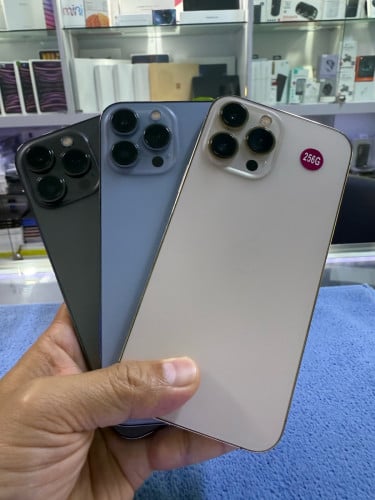 iPhone 13 Pro Max 256GB