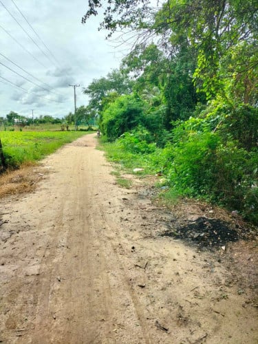 Land for Sale Close to Techo Internation Airport