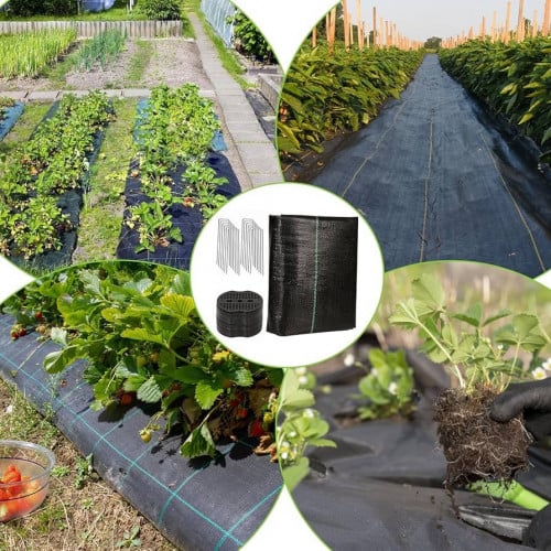 Weed Barrier - ជាប្រភេទស្បៃគ្របដីកុំអោយស្មៅដុះ