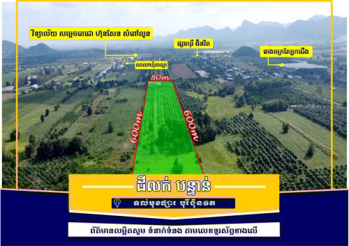 លក់ដីតម្លៃចចារ 80m x 600m (មុខរោងចក្រ) មានចម្ការស្វាយជាង 1000ដើម