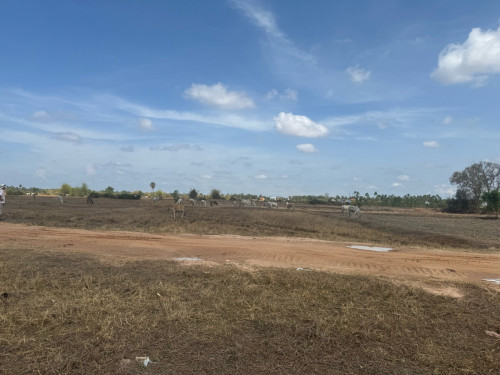 ដីសម្រាប់លក់