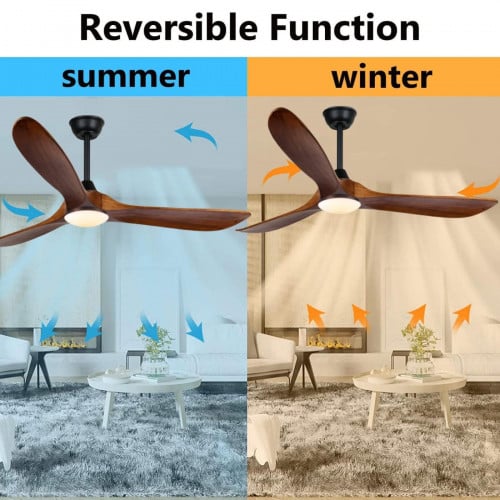 កង្ហារជាប់ពិដាន Ceiling Fan