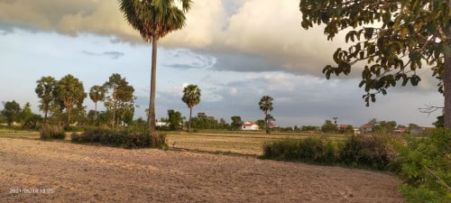 3081m2 លក់ 15000$