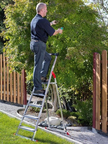 Household Ladder
