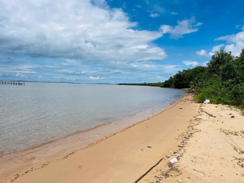 ដី ជាប់សមុទ្រ នៅកំពត លក់! | Land Along the Sea at Kampot For Sale!