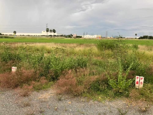 ដីសម្រាប់លក់