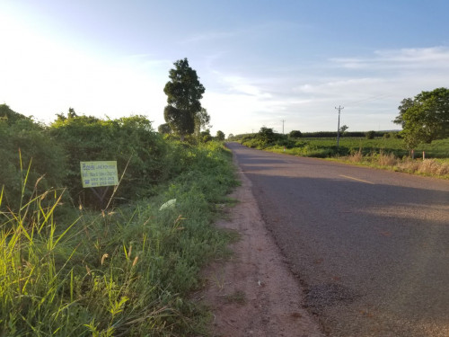 ដីលក់បន្ទាន់ជាប់ផ្លូវកៅស៊ូ ជិតព្រលានថ្មីសៀមរាប