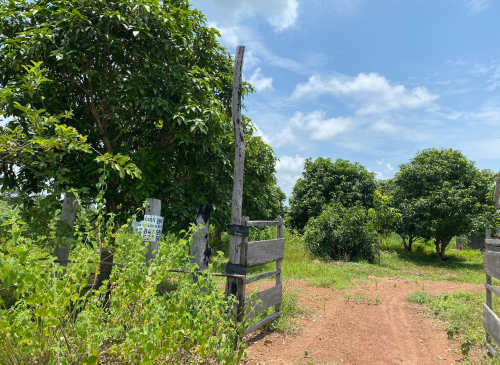 ដីលក់