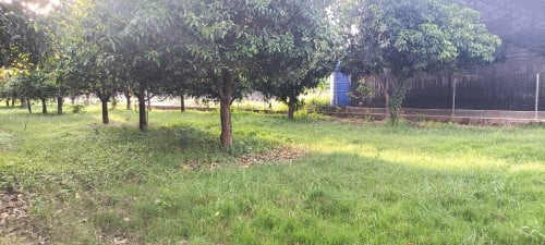 ដីជាប់ទន្លេ