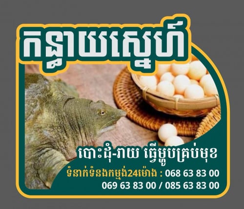 កន្ធាយបោះដុំលក់រាយធ្វើម្ហូបគ្រប់មុខ24ម៉ោង