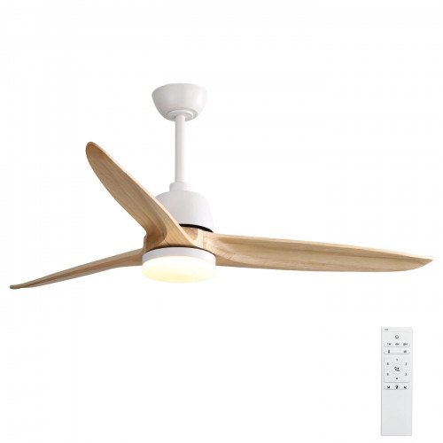 កង្ហារពិដានមានភ្លើង - Ceiling Decor fan with Light
