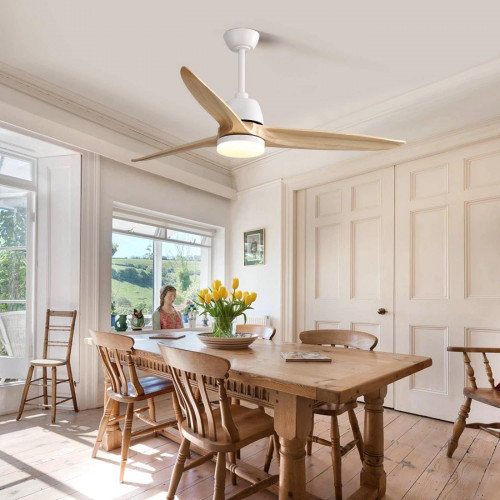 កង្ហារពិដានមានភ្លើង - Ceiling Decor fan with Light