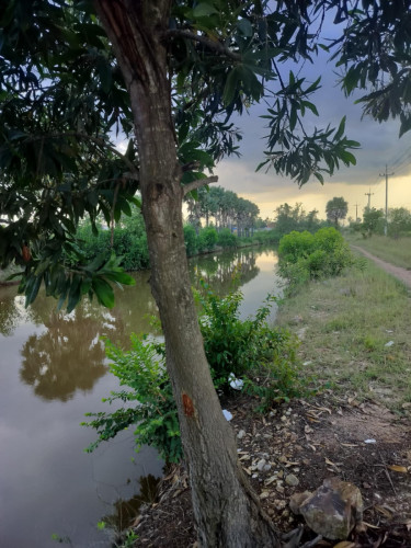 Kampot Land for sale