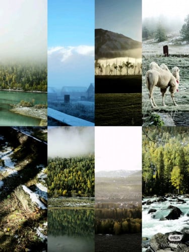 Presets Leica