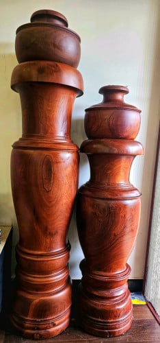 ថូធ្នង់ធំមួយគូ