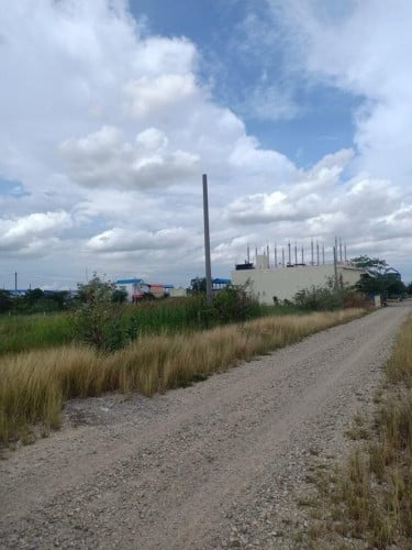 ដី7NG បង្កាន់ដៃប្លង់រឹង តំលៃក្រោមទីផ្សារ ប្លុក I