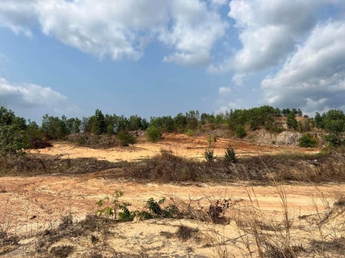 ដីលក់50ហិចតា ទៅ 100ហិចតា 12/m2