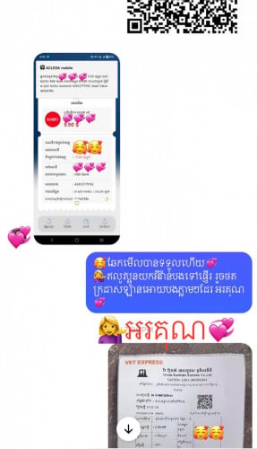 ๐แแแแแถแแแแแแแปแแแถแแแแข แแทแFeedbackแแแแแ๐