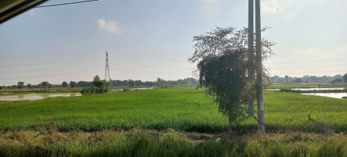 ដីជាប់ផ្លូវហាយវេ