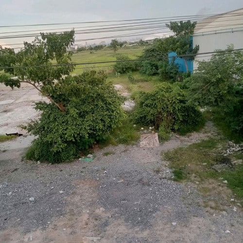 ដីលក់បន្ទាន់ លើផ្លូវកប់ស្រូវ ទល់មុខផ្លូវល្បឿនលឿន ៦៩៥ ០០០