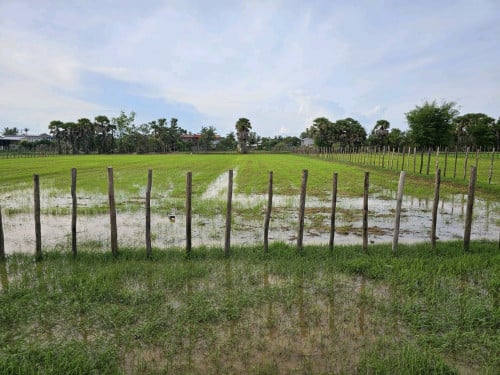 ដីលក់បន្ទាប់