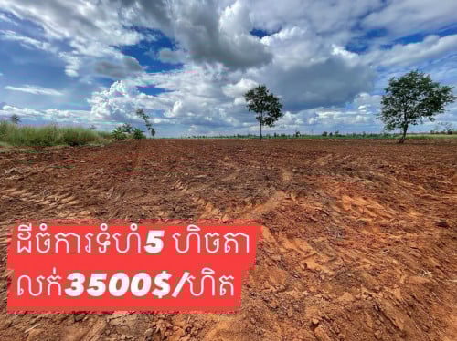 ដីចំការលក់ក្រោមទីផ្សារនៅកន្ទួតស្រុកស្វាយលេីខេត្តសៀមរាប