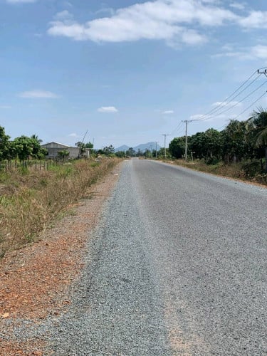 ដីជាប់ផ្ផ្លួវកៅស៊ូ លក់ប្រញាប់