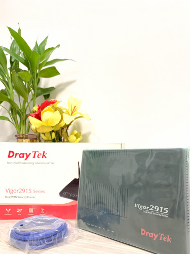 Vigor2915 Dual-Wan Load-Balancing Router