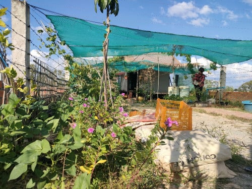 ដីលំហែលក់បន្ទាន់